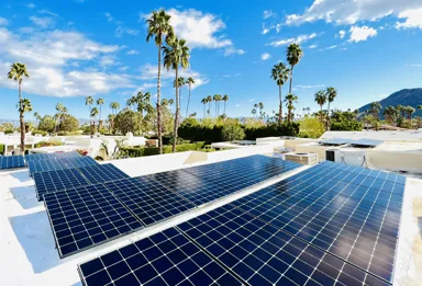 Solar panels on the flat rooftops of a palm-lined neighborhood